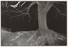 Peter Župník – Requiem 