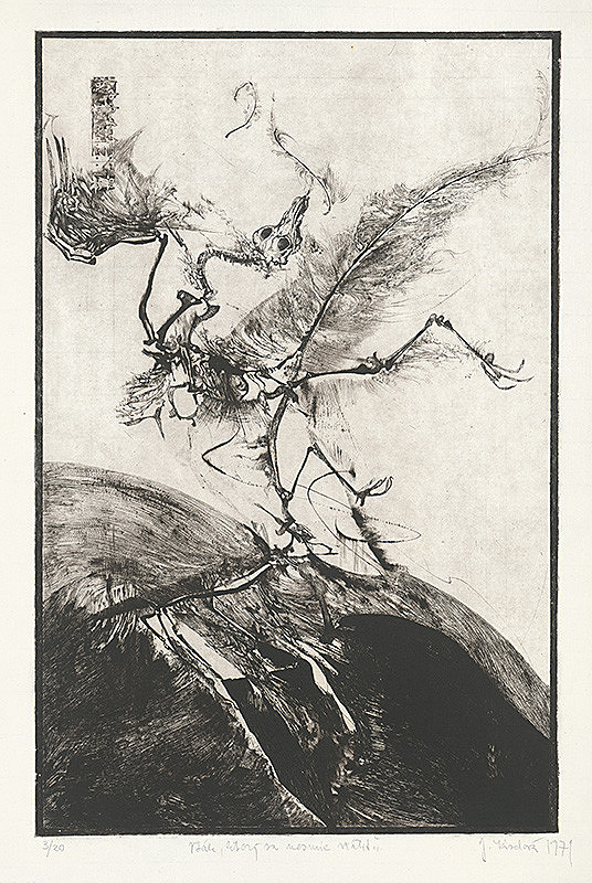 Jana Kiselová-Siteková – Vták, ktorý sa nesmie vrátiť 