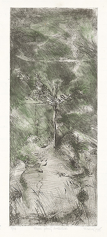 Jana Kiselová-Siteková – Strom plný hrdličiek 