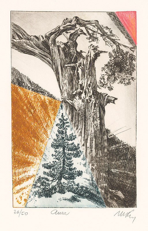 Mikuláš Kravjanský – Aura