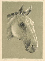 Zdeněk Jeřábek – Carevič 