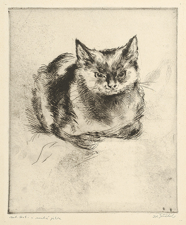 Zdeněk Jeřábek – Mačka 