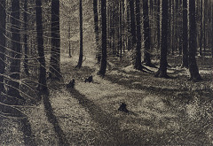 Viktor Olgyai – Krajina 