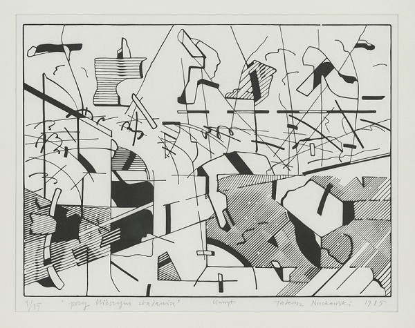 Tadeusz Nuckowski – Przy blizsym zbadaniu 