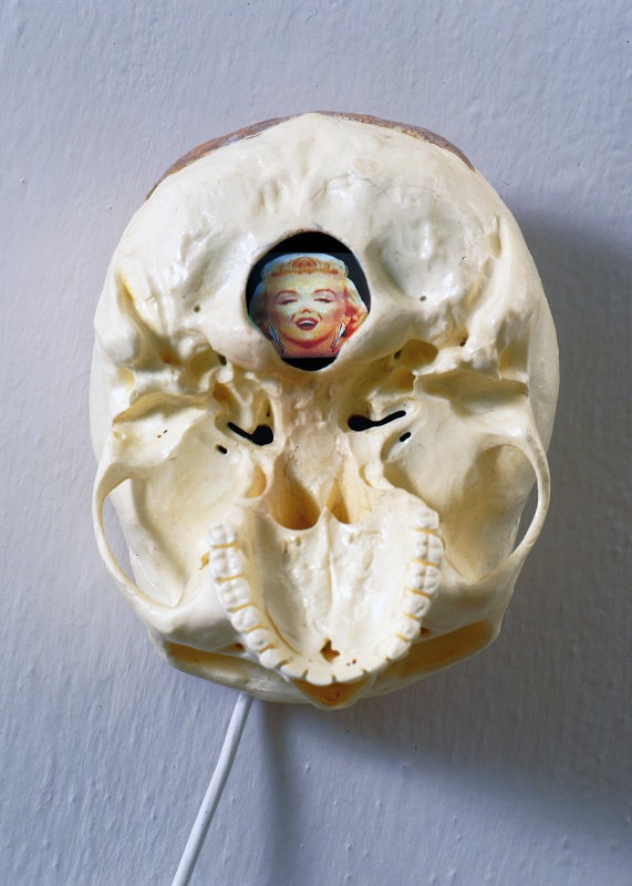 Peter Rónai – Elastická realita