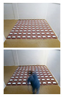 Peter Rónai – Elastická realita 