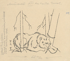 Emil Makovický – Mučiareň 