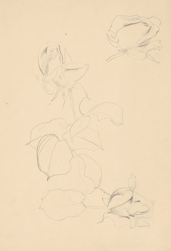 Emil Makovický – Ruže VI. 