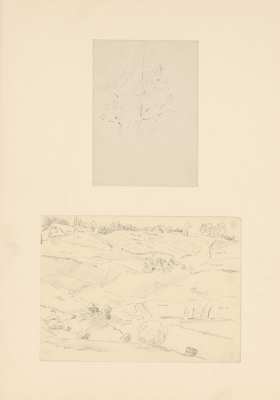 Emil Makovický – Dve štúdie stromu a krajiny 