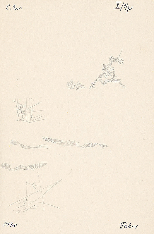 Emil Makovický – Štúdia ihličia 