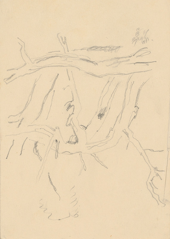 Emil Makovický – Štúdia konárov 