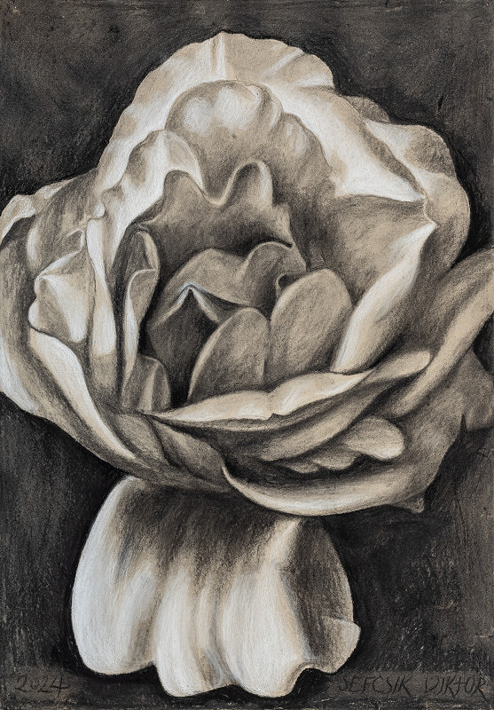 Viktor Šefčík – Kompozícia II. 