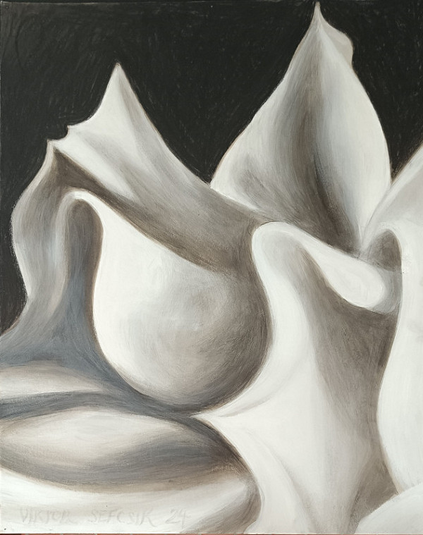 Viktor Šefčík – Narodenie 