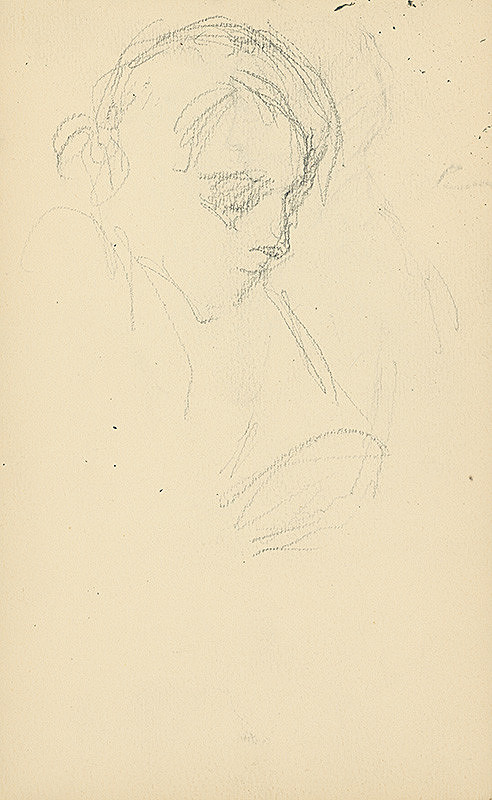 Andor Borúth – Skicár VI. 