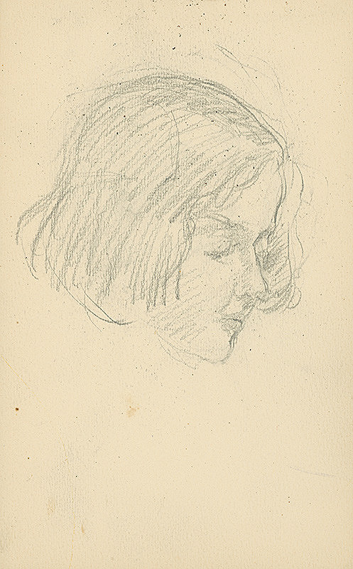 Andor Borúth – Skicár VI. 