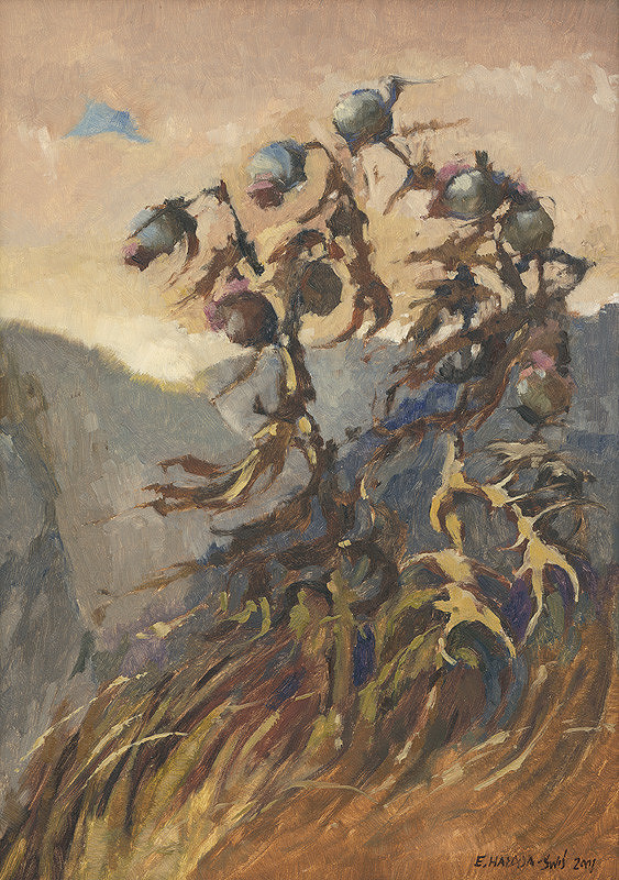 Elżbieta Hałasa – Bodliaky II. 