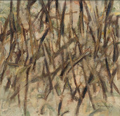 Vladimír Broniševský – Polom na Letanovskej píle 