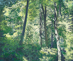 Thomas Arthur Smith – Les v Slovenskom raji 