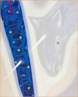 Marián Čižmárik – Jednorožec 