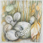 Edita Vološčuková – Sociálny život rastlín (Komunikácia) 