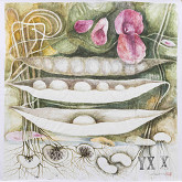 Edita Vološčuková – Sociálny život rastlín (Narodenie) 