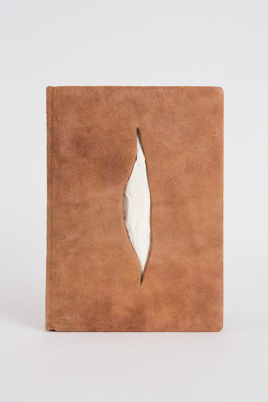 Anna Fedáková – Preniknutie 