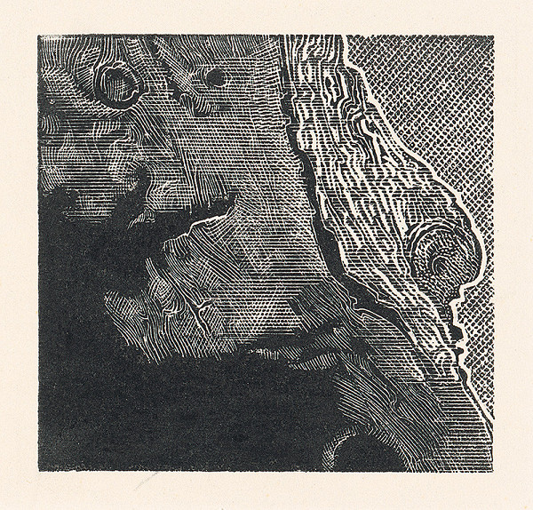 František Hübel – Štruktúra 