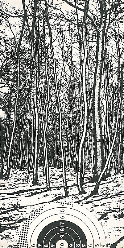 František Ondro – Zámer