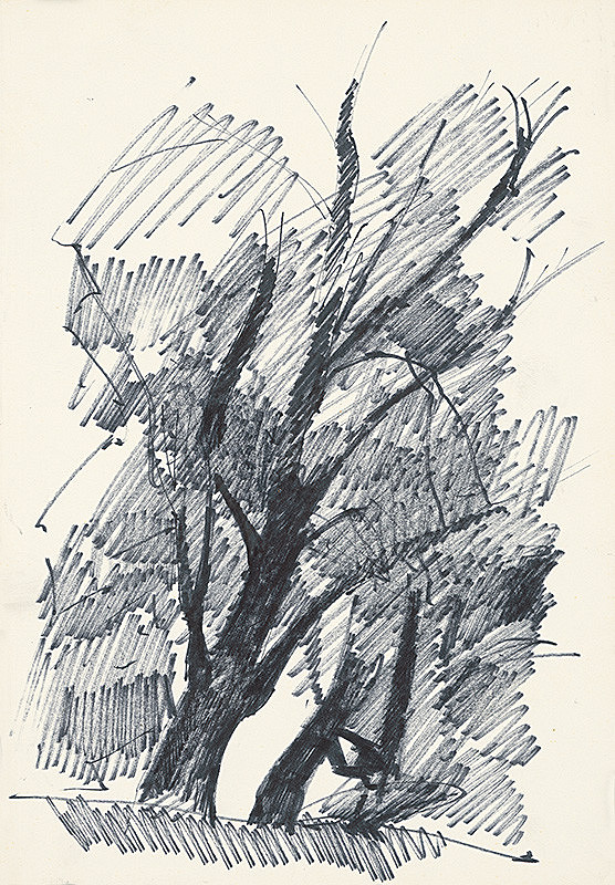 František Hübel – Štúdia lesa IV. 