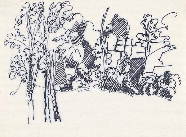 František Hübel – Štúdia lesa XI. 