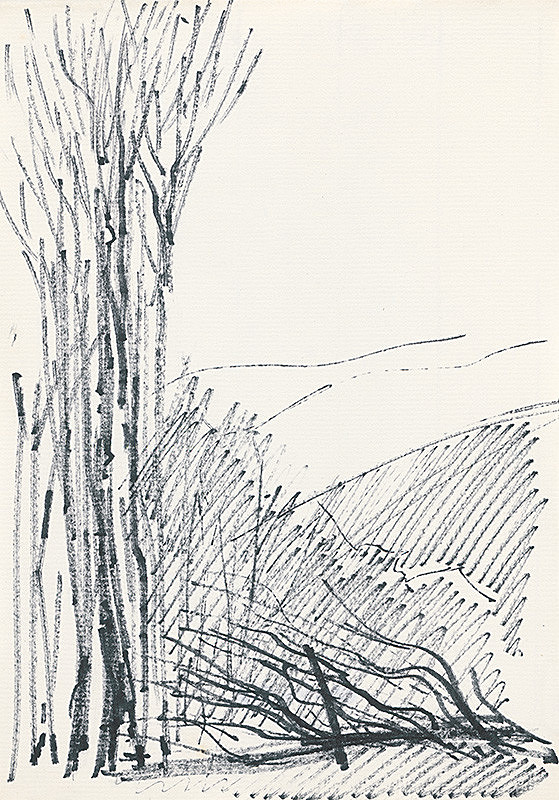 František Hübel – Štúdia lesa XVI. 