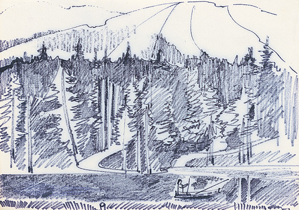 František Hübel – Štúdia lesa XVII. 