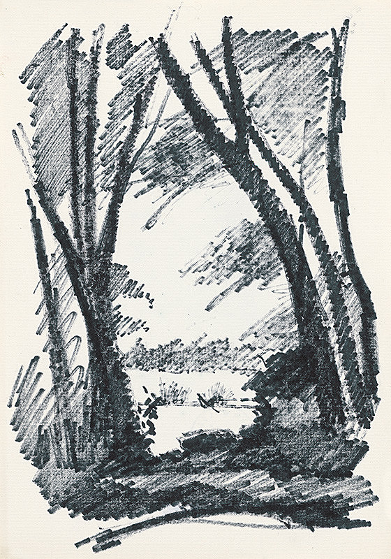 František Hübel – Štúdia lesa XX. 