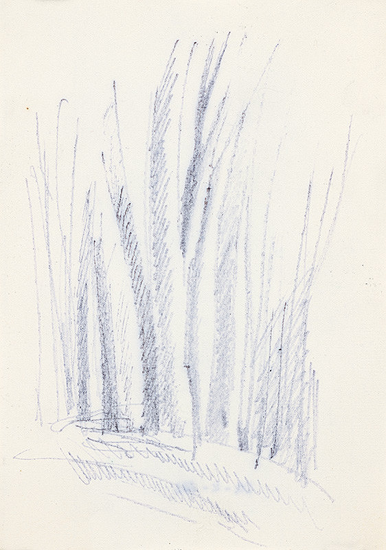 František Hübel – Štúdia lesa XXI. 