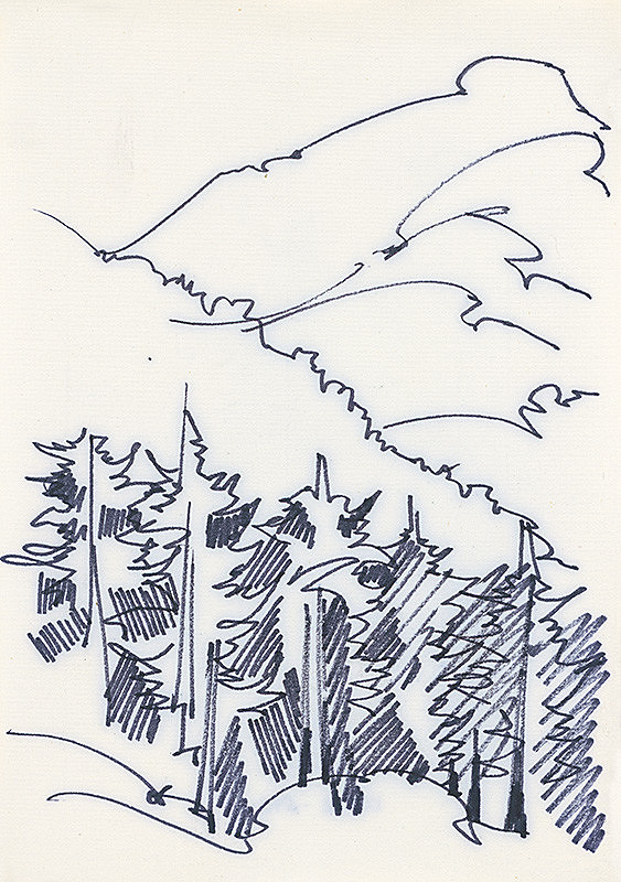 František Hübel – Štúdia lesa XXVIII.