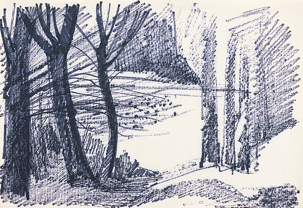 František Hübel – Štúdia lesa XXX. 