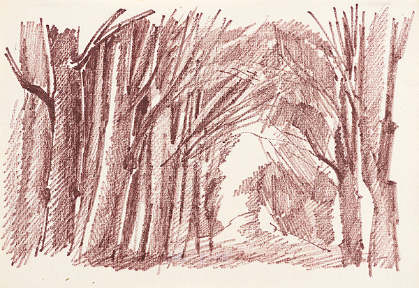 František Hübel – Štúdia lesa XXXI.