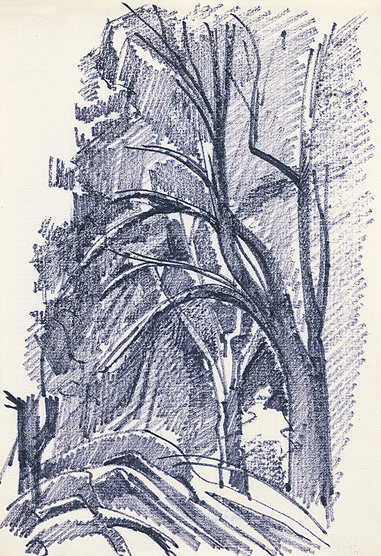 František Hübel – Štúdia lesa XXXII. 