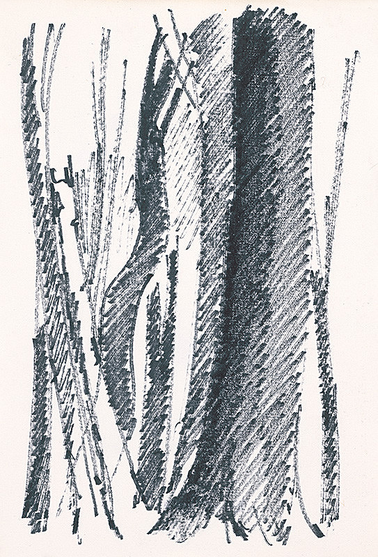 František Hübel – Štúdia lesa XXXV. 