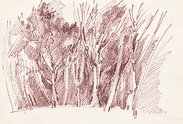 František Hübel – Štúdia lesa XXXVI. 