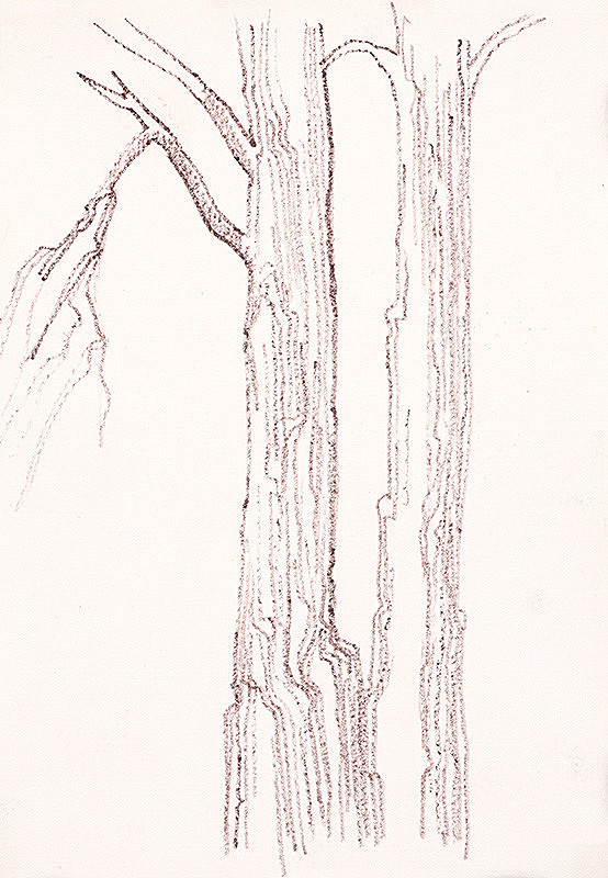 František Hübel – Štúdia stromu VII.