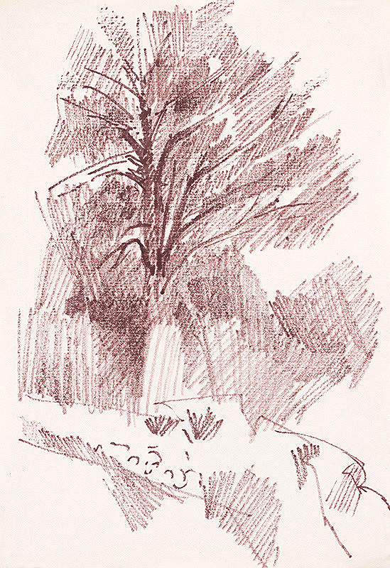 František Hübel – Štúdia stromu IX. 