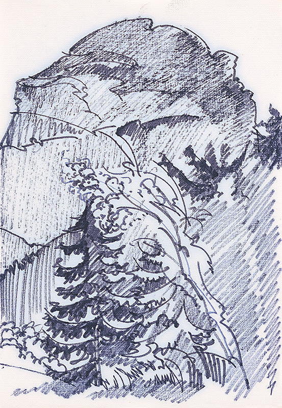 František Hübel – Štúdia stromu XVIII. 