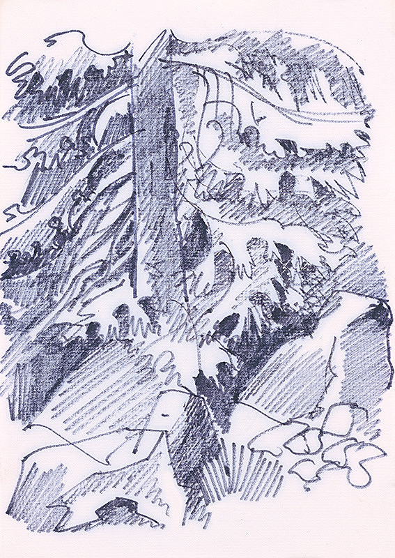 František Hübel – Štúdia stromu XIX. 