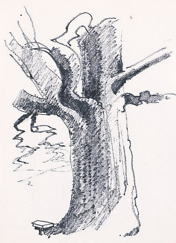 František Hübel – Štúdia stromu XX.
