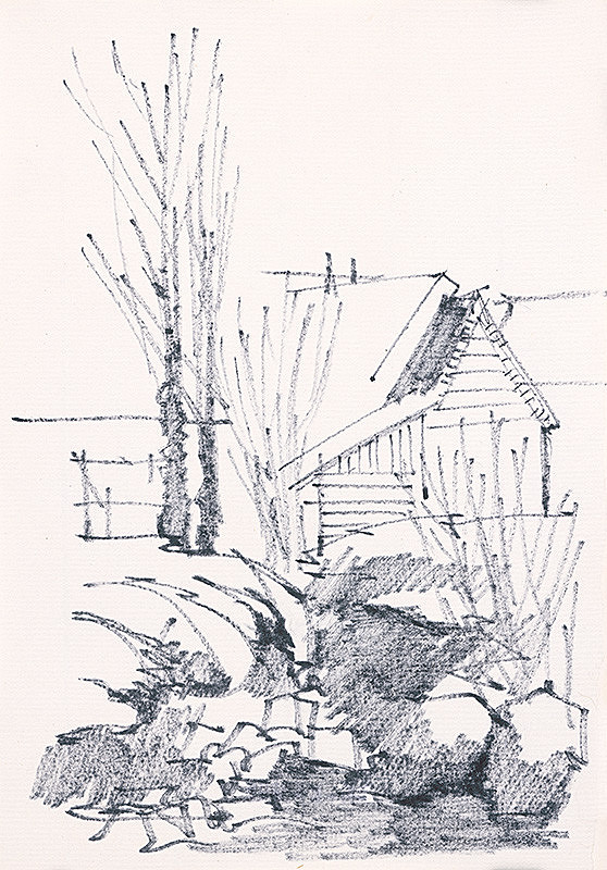 František Hübel – Štúdia stromu XXIII. 