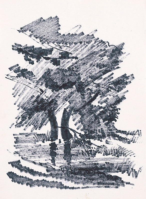 František Hübel – Štúdia stromu XXV.
