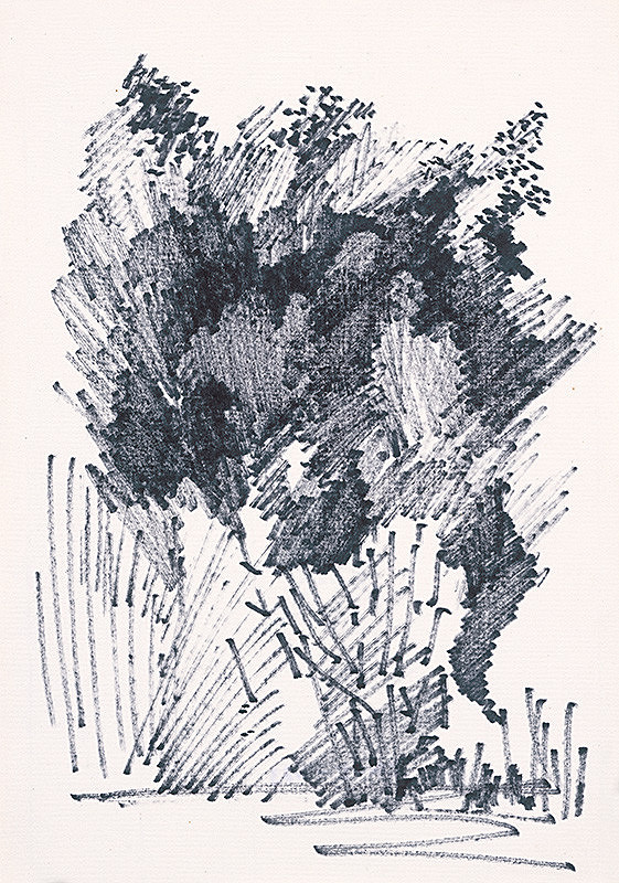 František Hübel – Štúdia stromu XXVI. 