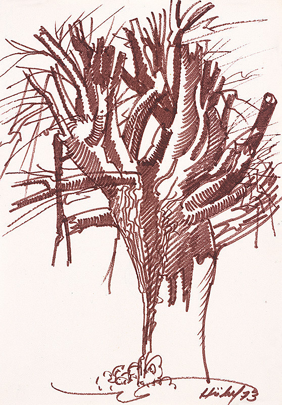 František Hübel – Štúdia stromu XXVII. 