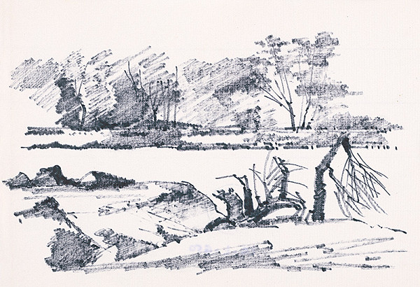 František Hübel – Štúdia krajiny XVI.